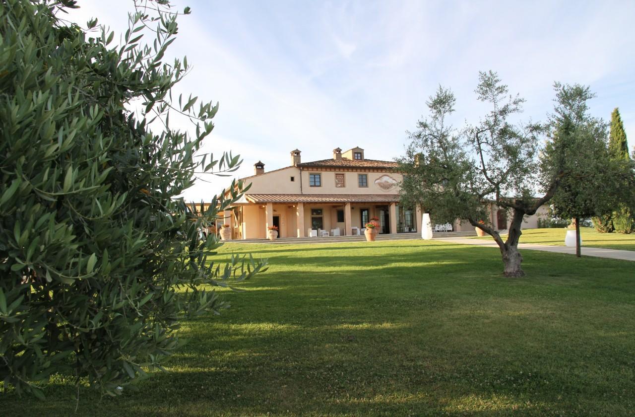 Colleoli Palaia