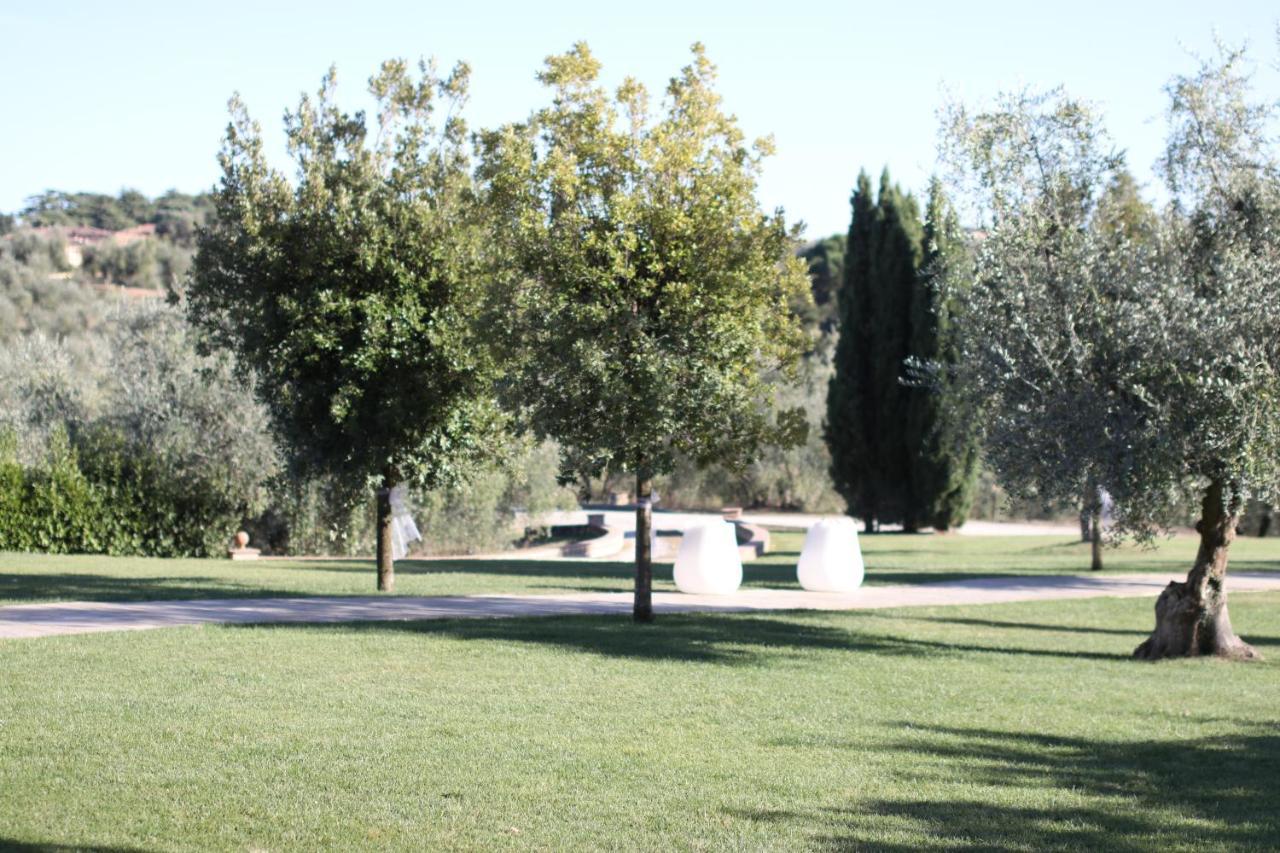 Alloggio per agriturismo Agriturismo Colleoli Palaia